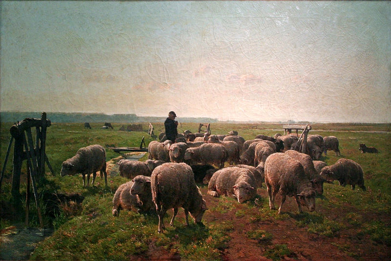 Landschap met herder en kudde schapen